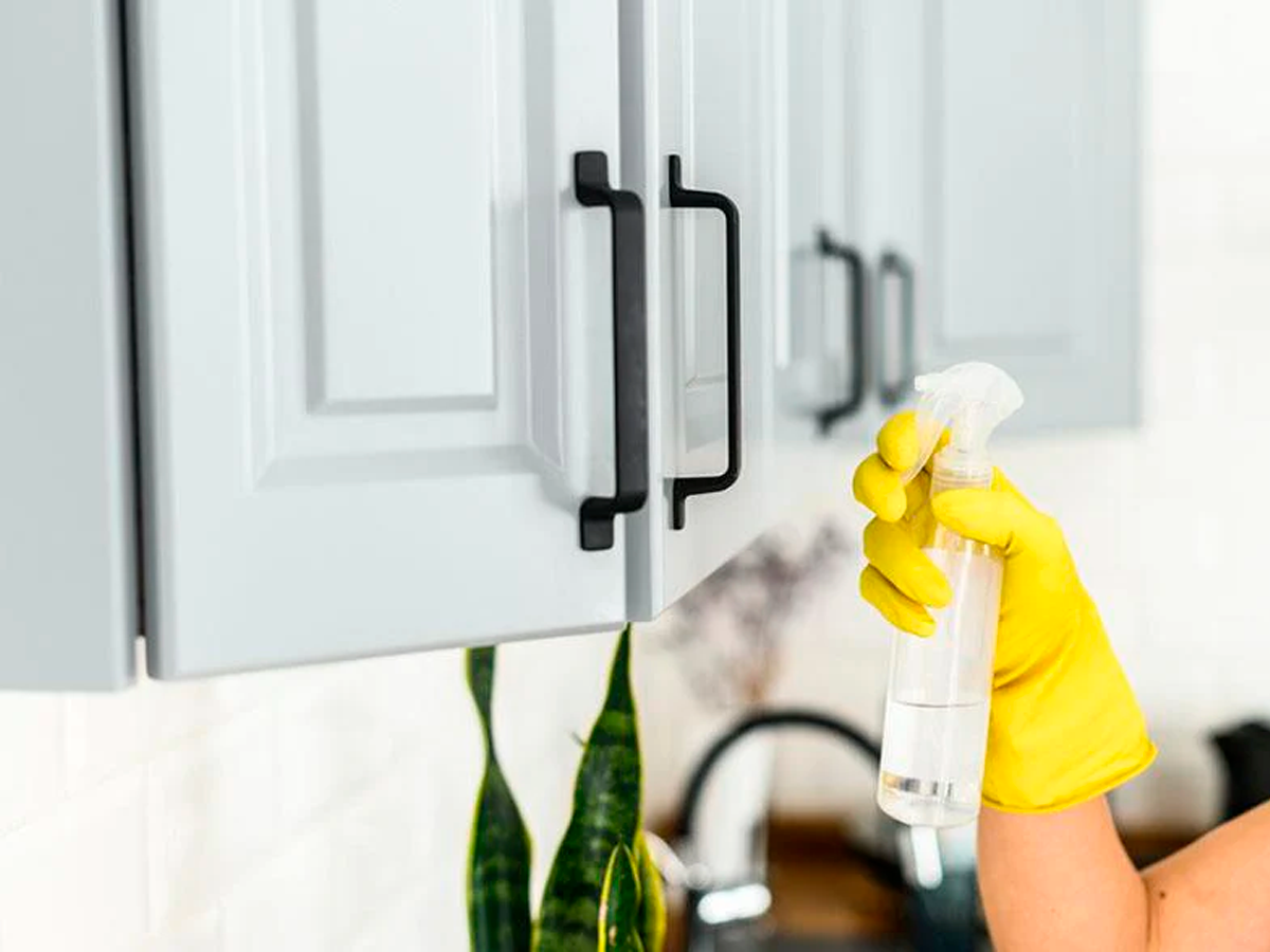 Cabinet Detailing and Deep Cleaning