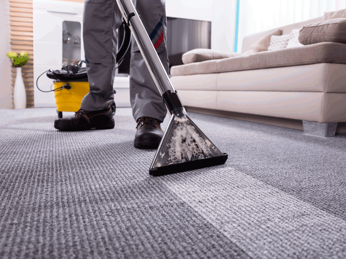 Professional Carpet Cleaning